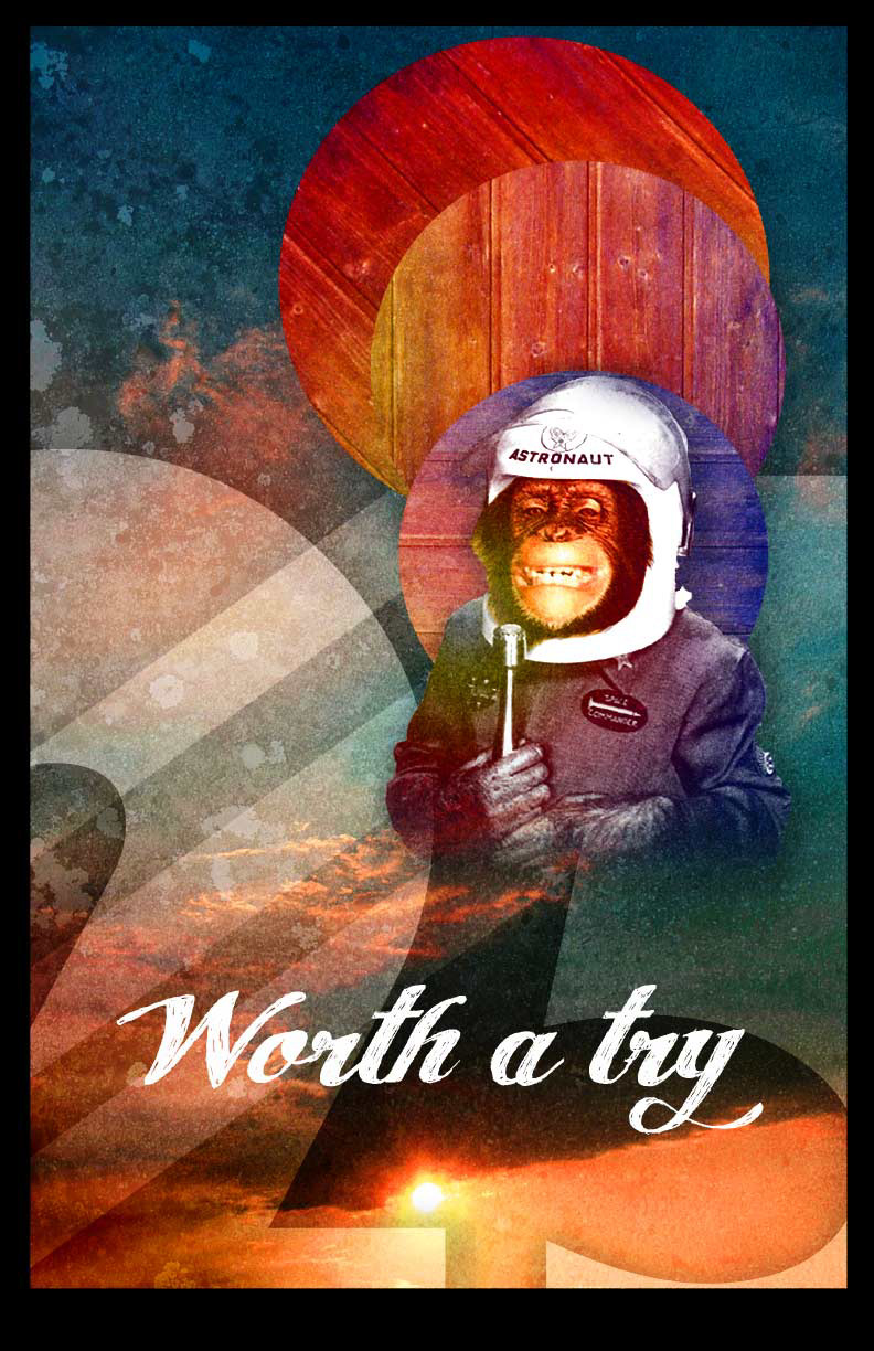 type monkey astronaut worth a try