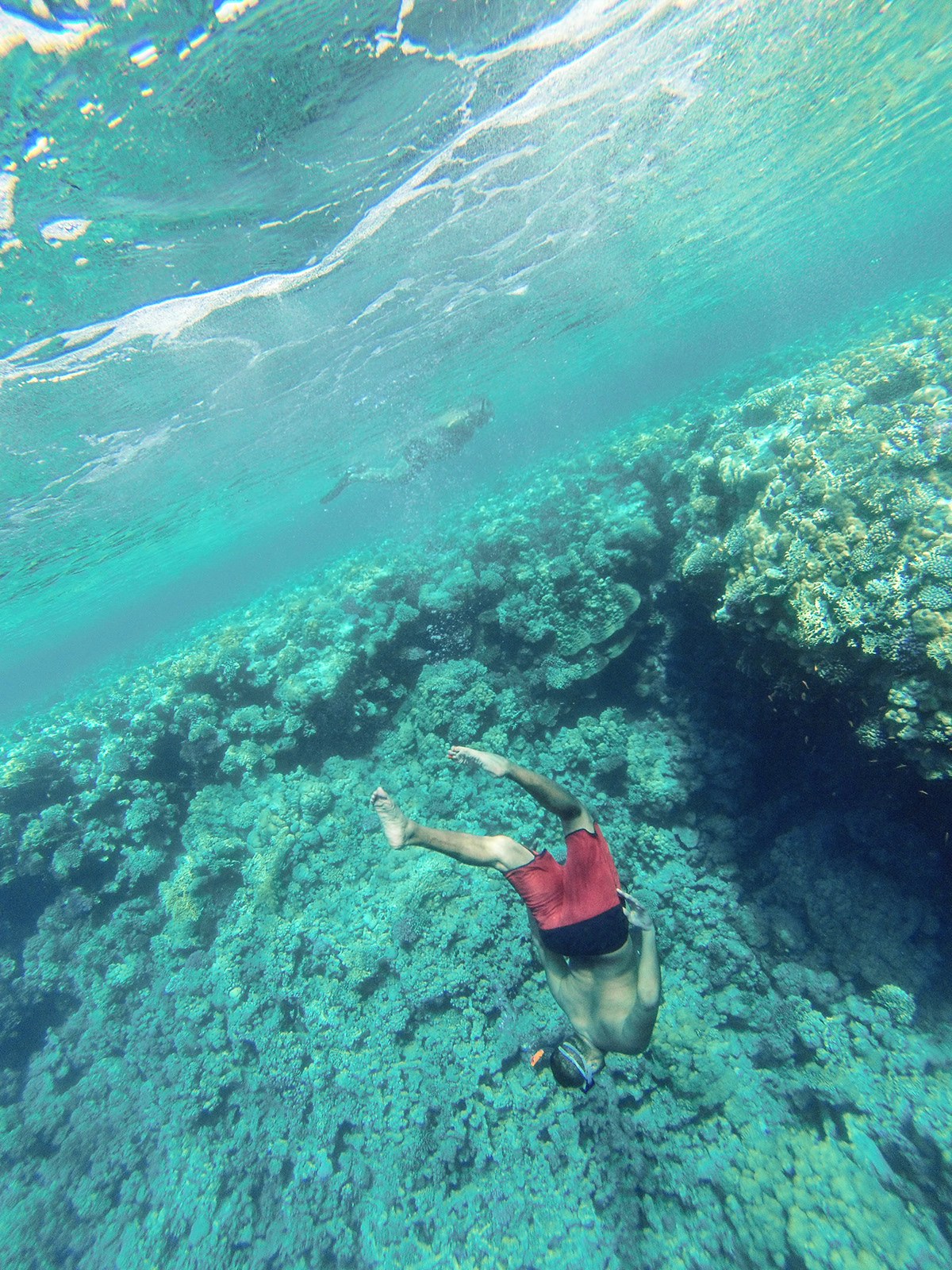 underwater red sea snorkeling blue egypt Mohamed Mohsen Momo egy