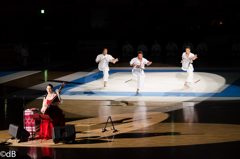 Budokan shitoryu shitokai japan karate tokyo kicks medals world Championship