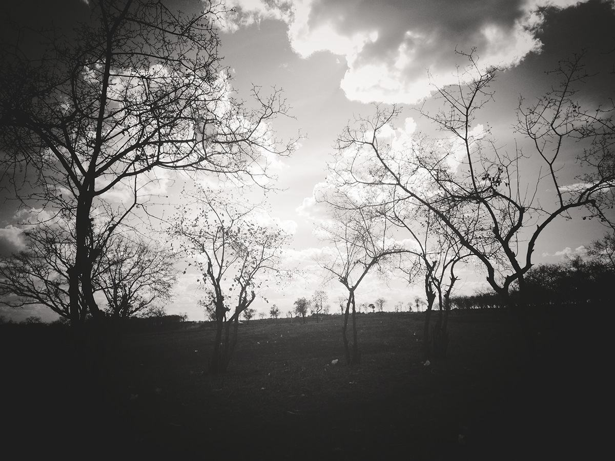landscape photography iPhoneography iPhone photography noir black & white Ianiverse Henley Ian filter filtered panorama Freedom Adventures