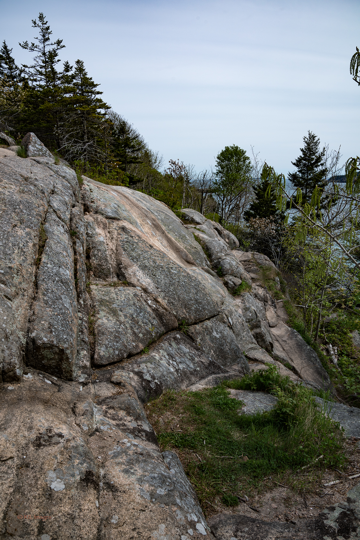 Nature Landscape national parks Ocean water spring Maine