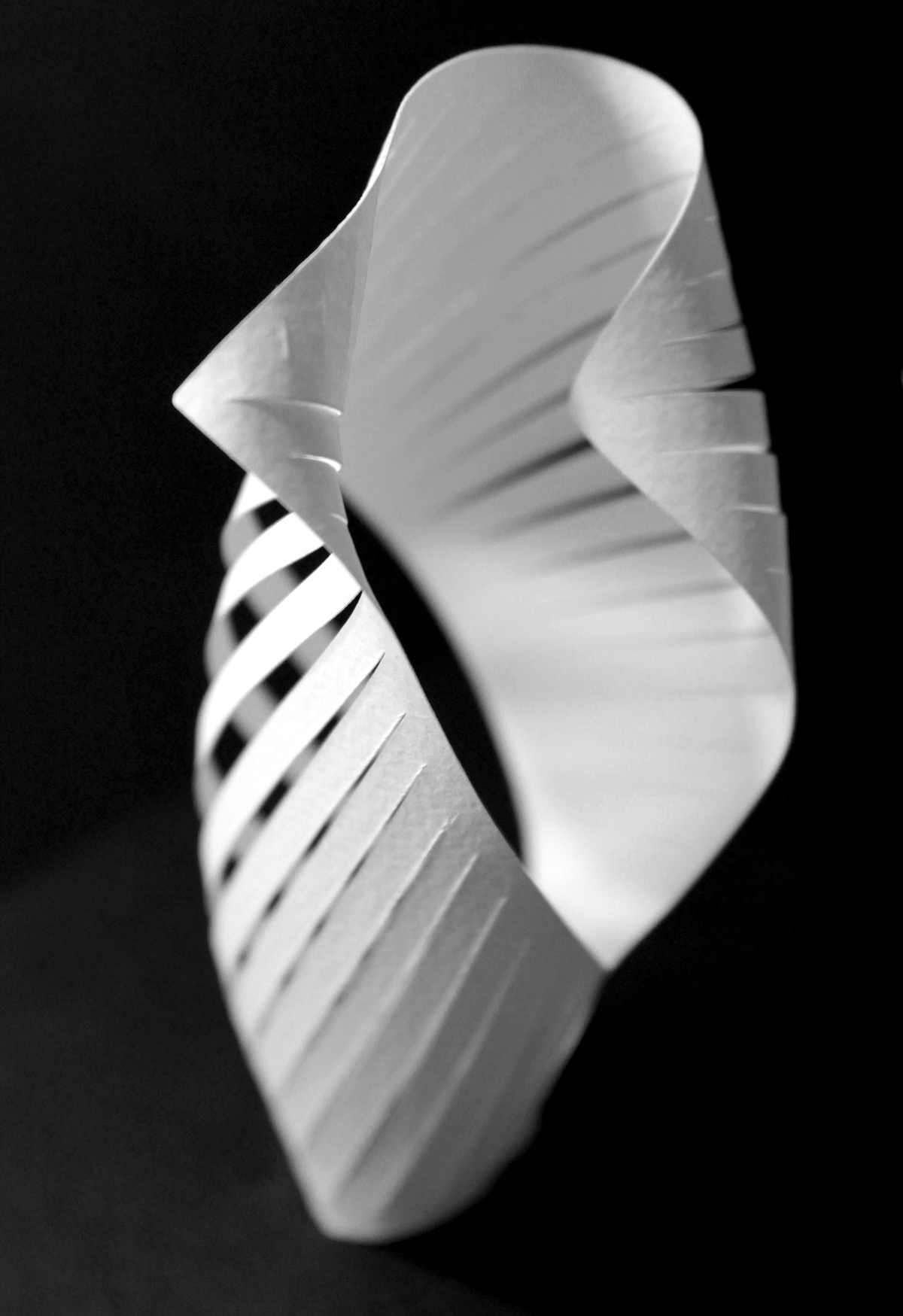 3D paper floral Flowers sculpture origami  Forms