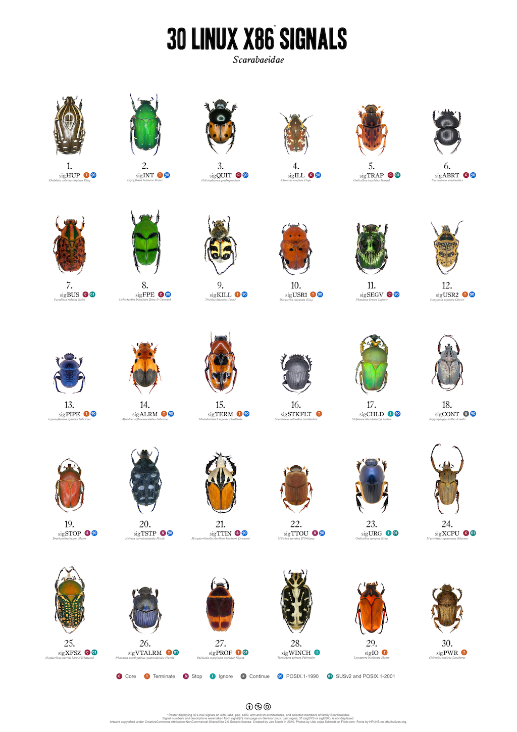 linux signals poster scarabaeidae infographics