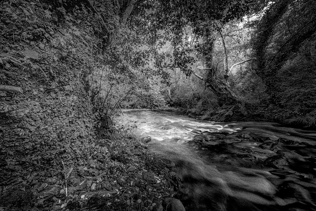 black and white Landscape long exposure Memory Nature river trees treescapes water