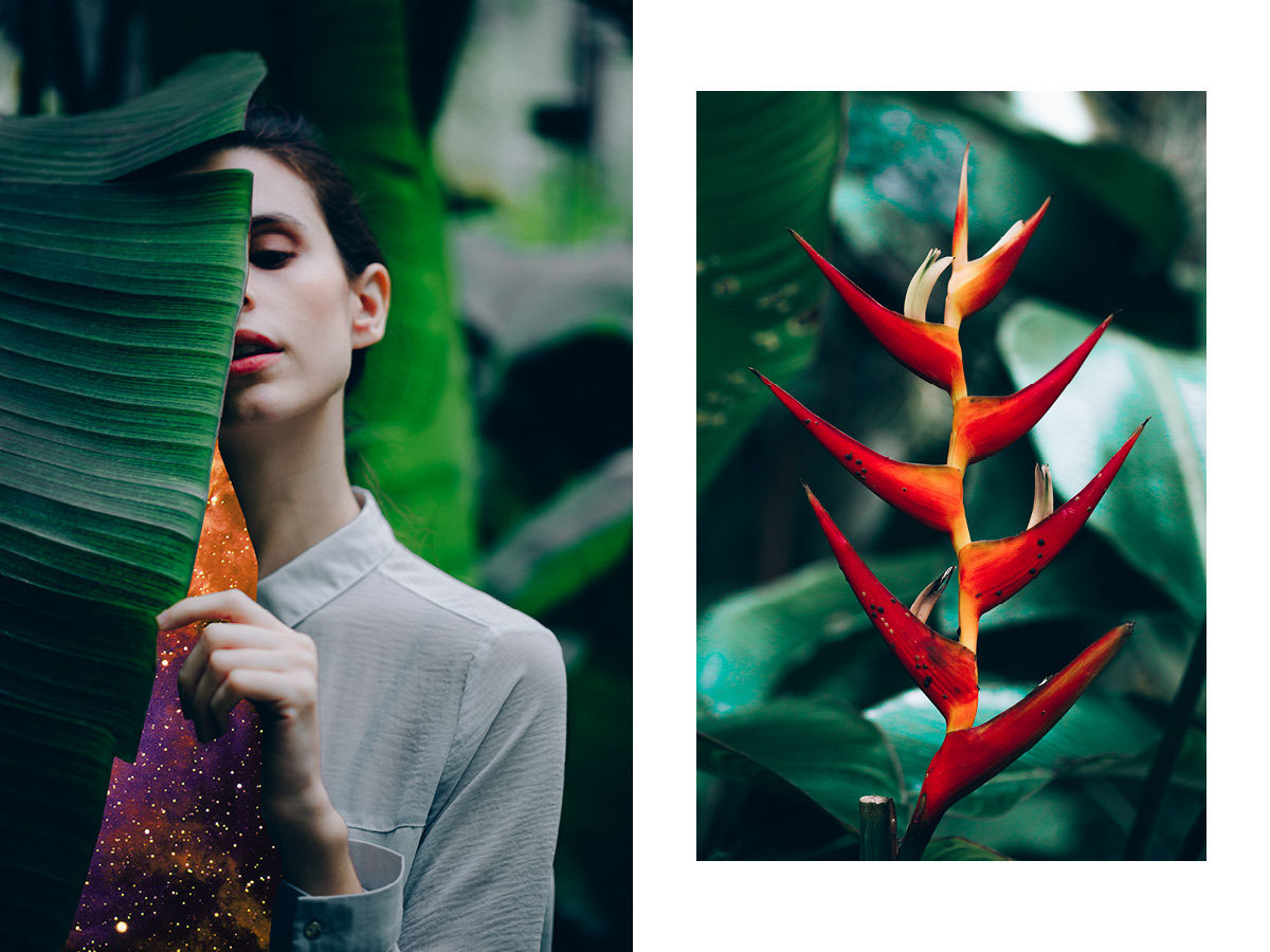 collage botanical portrait plants Nature girl woman rocio montoya