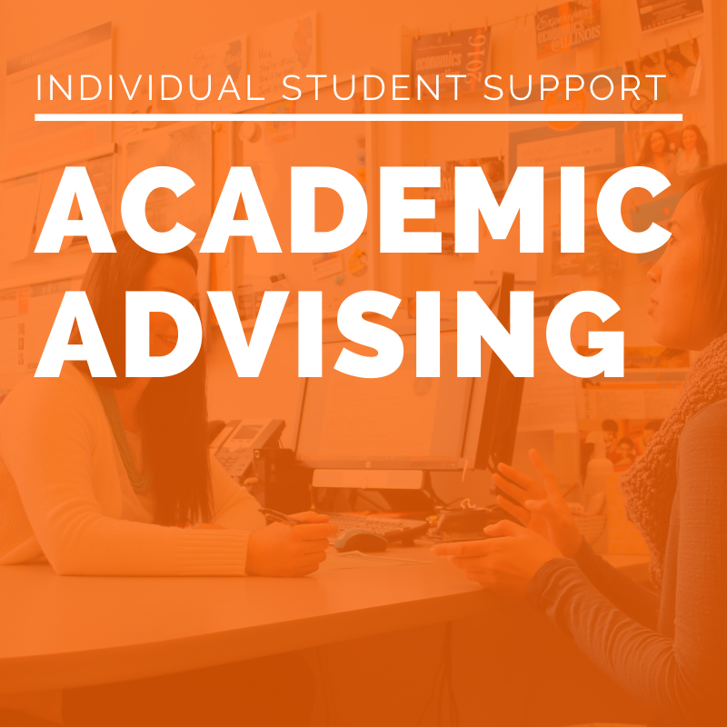 Academic Advising via SciEditHub Academic Editors