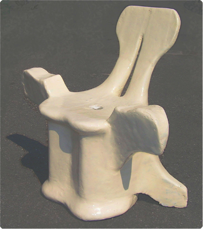 chair vertebrae