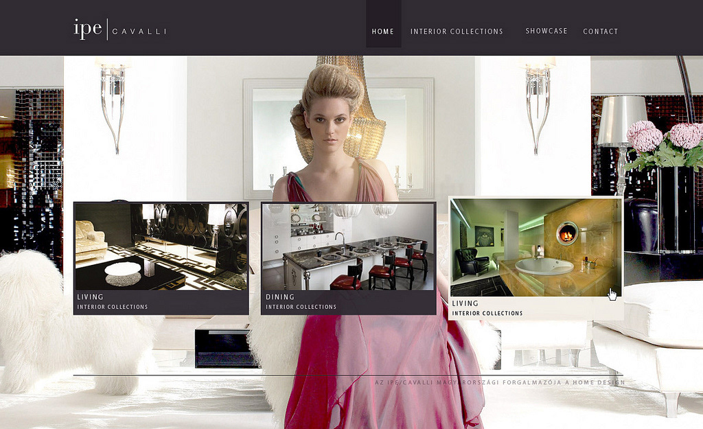 Website  webdesign  screen design