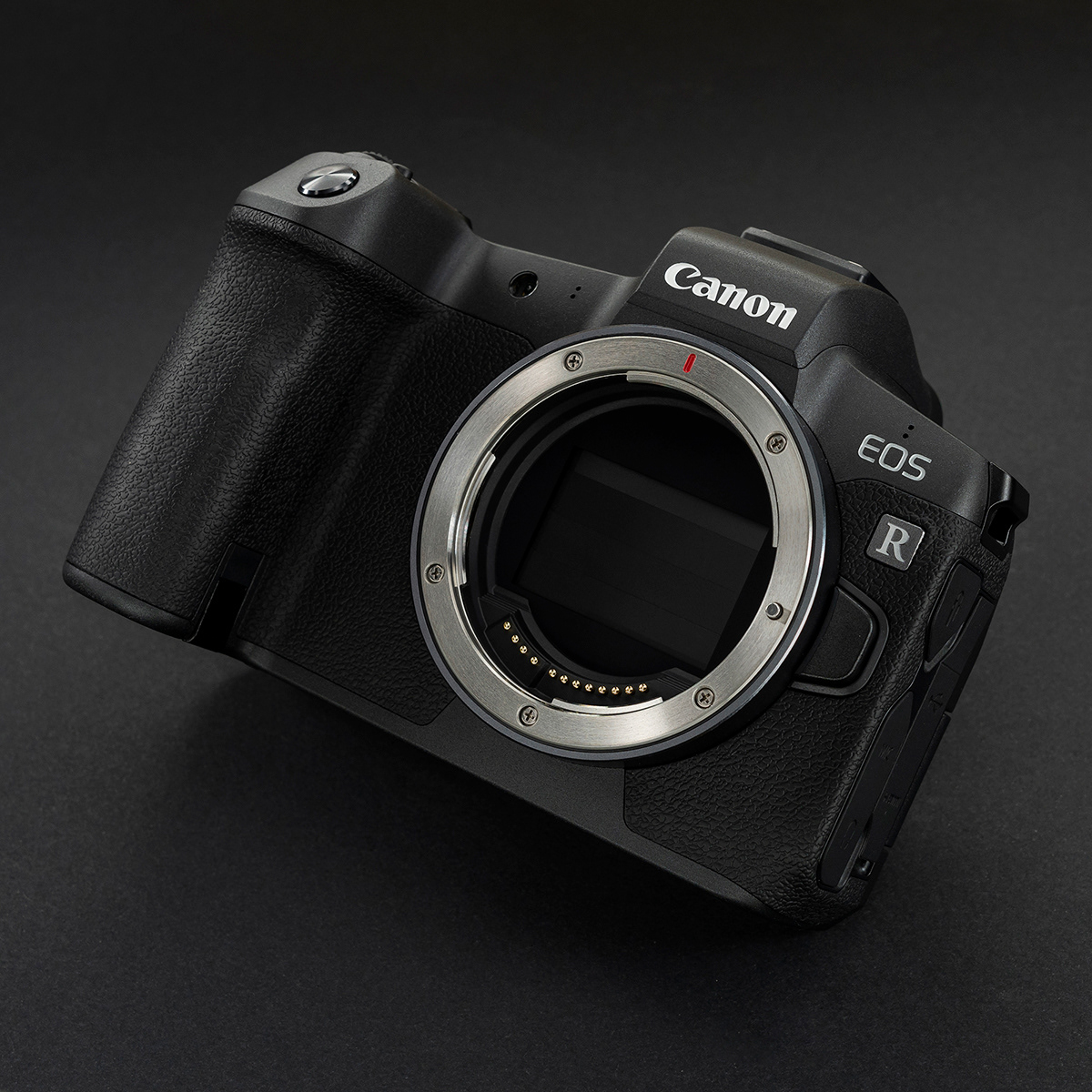 camera Canon eos EOSR equipment photographer Photography  photoshoot product