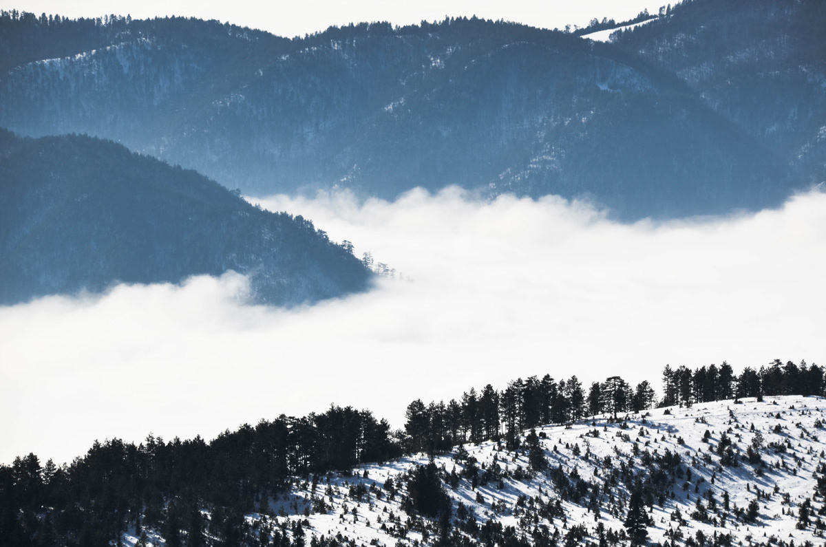 zlatibor tornik tara Serbia Beautiful mountain snow White Landscape landscapephotography
