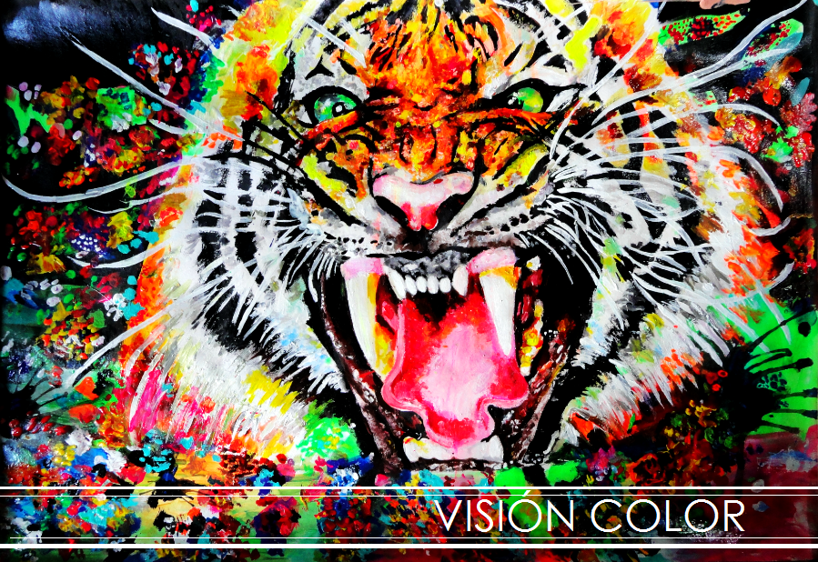 visioncolor