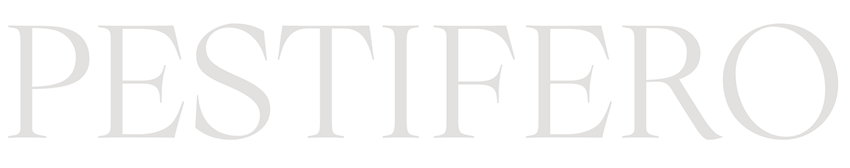 font serif specimen type design Typeface typeface design typography   graphic regular type