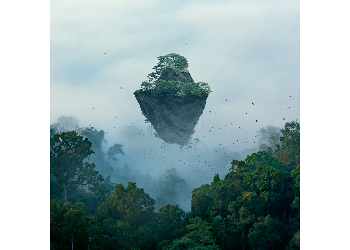 Les Loups jungle photoshop sleeve artwork floating Nature green blue birds magritte