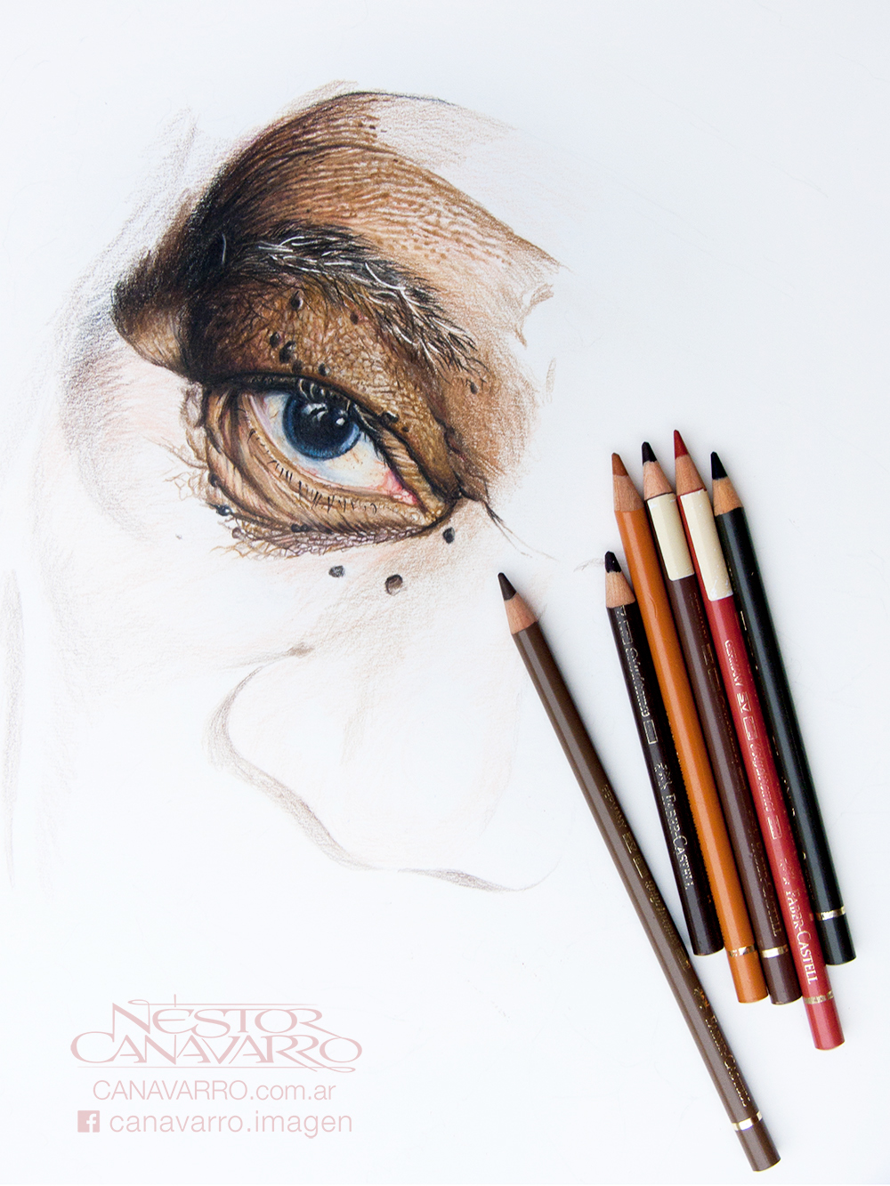 Morgan Freeman ILLUSTRATION  color pencil pencil portrait Drawing  TRADITIONAL ART