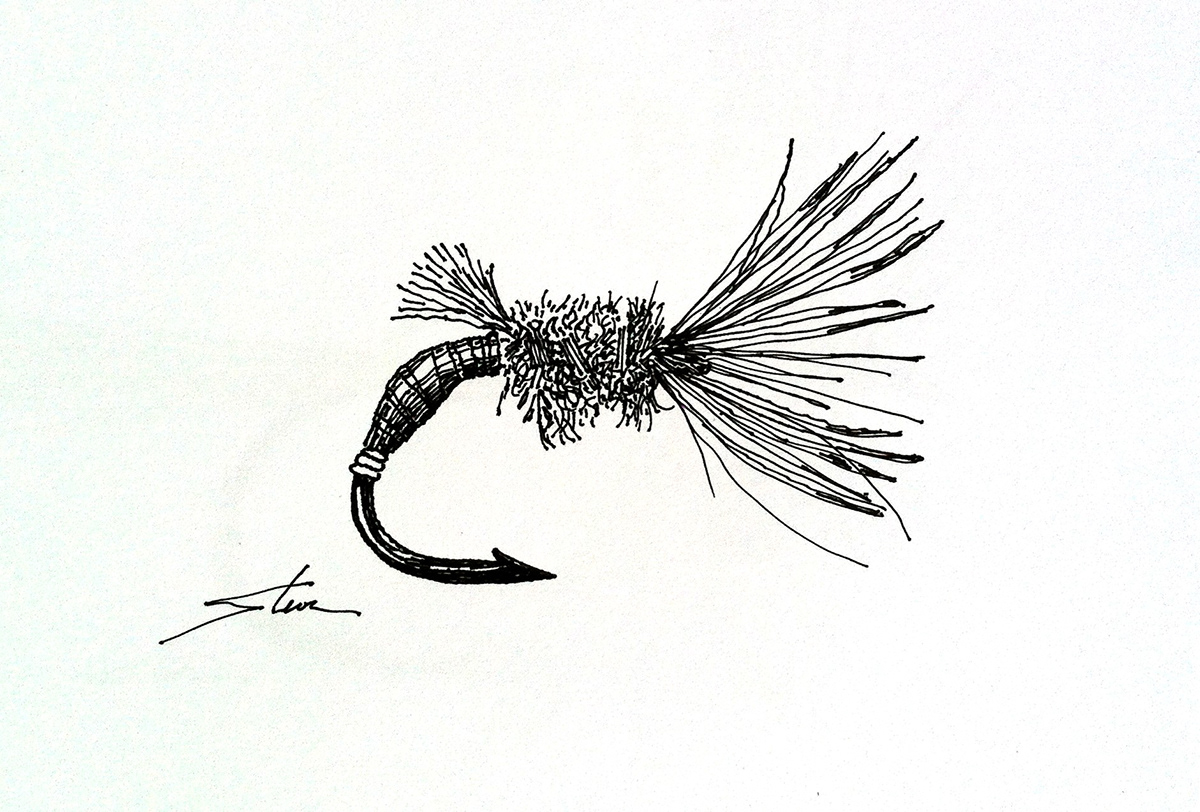 Fly Fishing Flies fishing pen and ink Hooks one a day