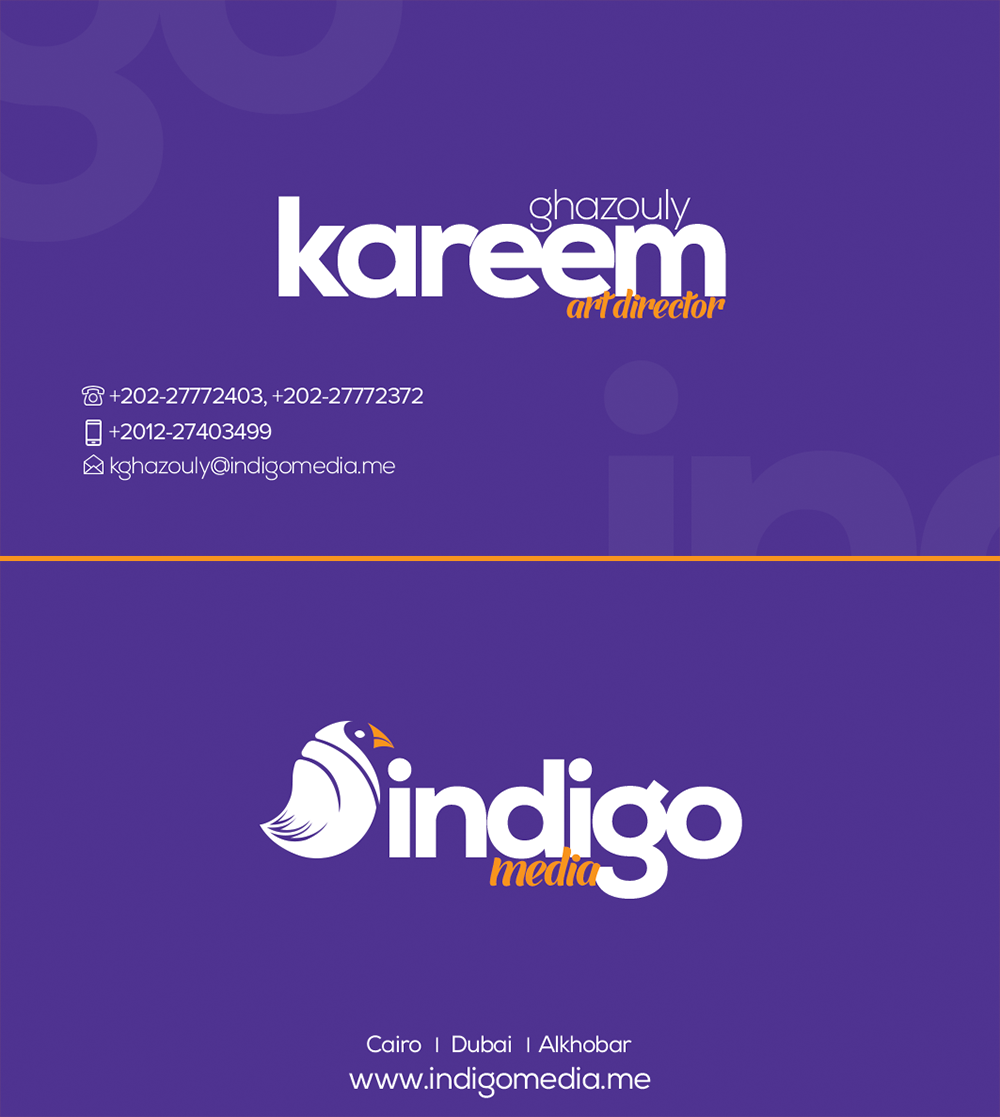 Indigo egypt media advertisment dubai Saudi Arabia purple birds brand identity