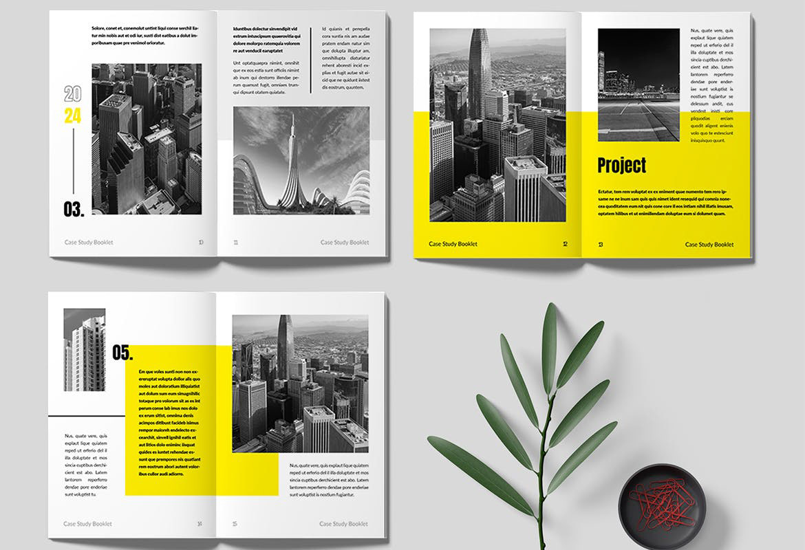 case study Booklet Layout Case Study InDesign template editorial editorial design  brochure