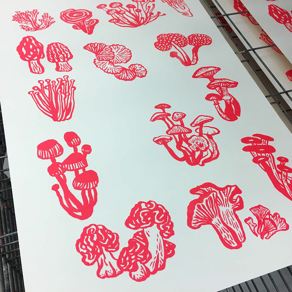 Drawing  ILLUSTRATION  lettering letteringnatalya balnova Mushrooms poster Poster Design printmaking silkscreen type