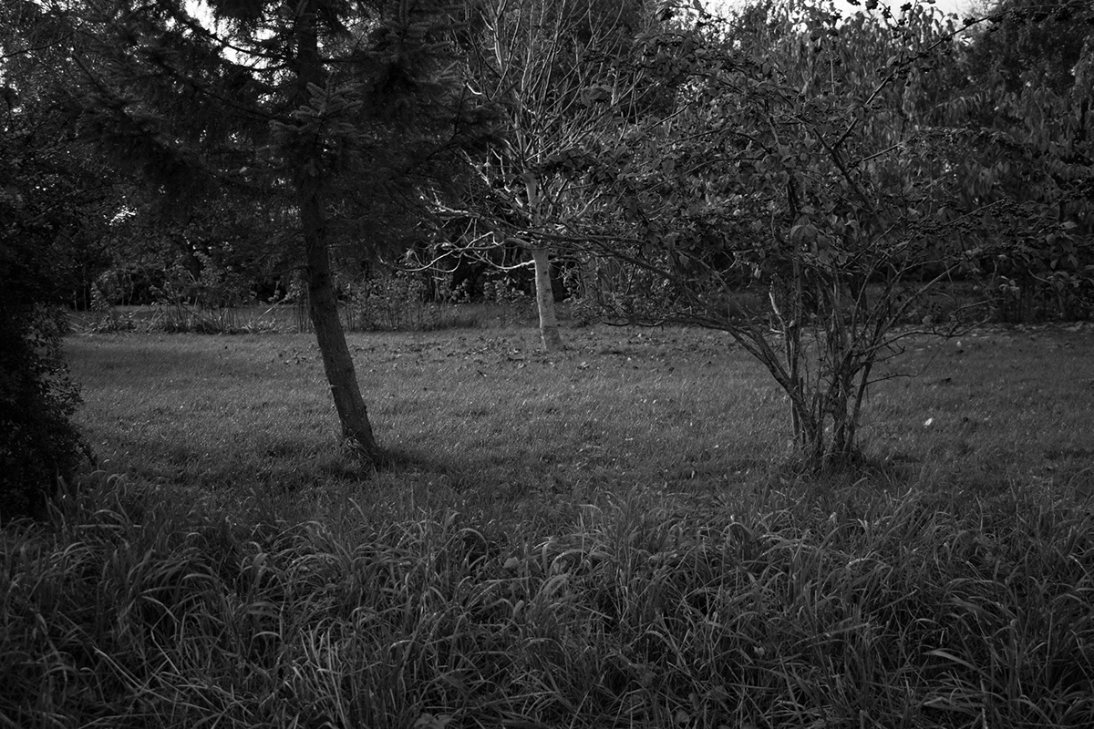 light shadow walkes Nature unseen public garden resting village femalephotographer