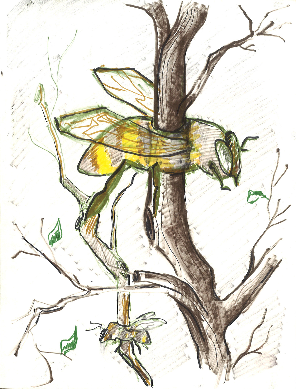 illustrationart Illustrator adobe Nature plants Tree  brunches bee Flowers design series portfolio animals Love naturelove