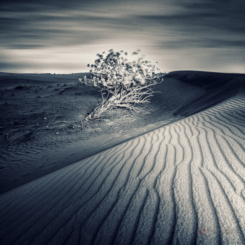 dubai desert Landscape nightphotography long exposure