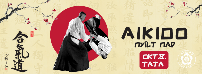 aikido flyer cover design