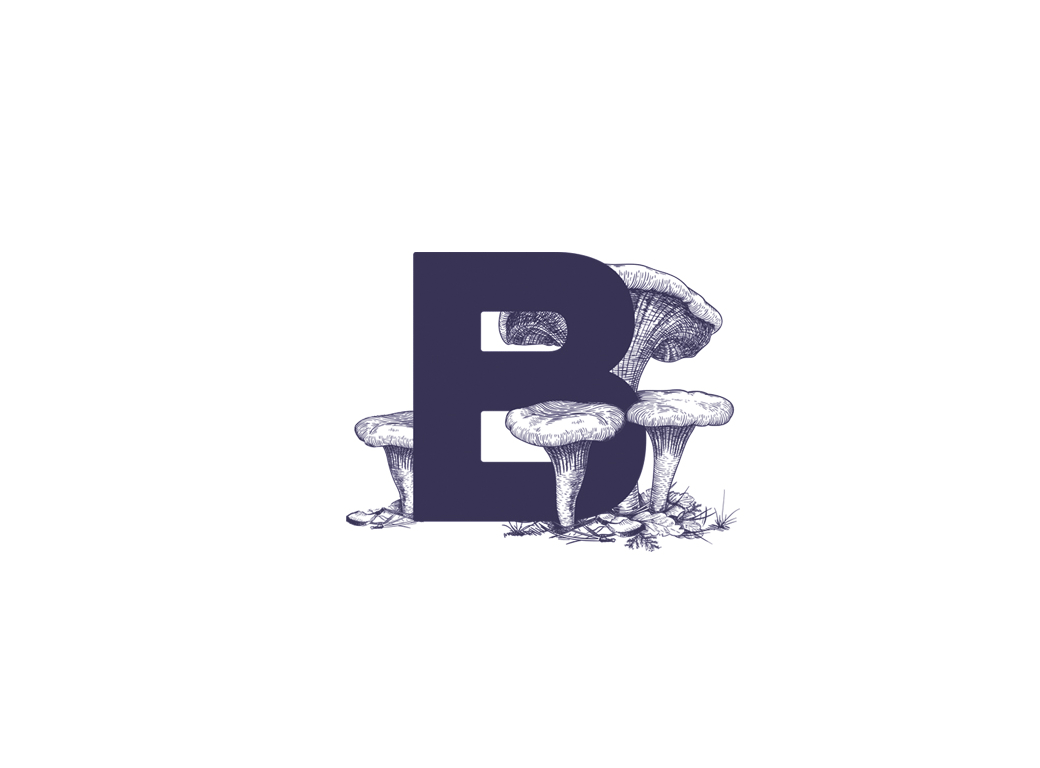 italian restaurant deli wine logo Logo Design brand identity branding  Graphic Designer visual identity