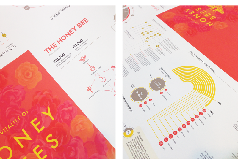 infograph ysdn honeybee infographic iPad Digital Publishing DPS pamphlet infographics