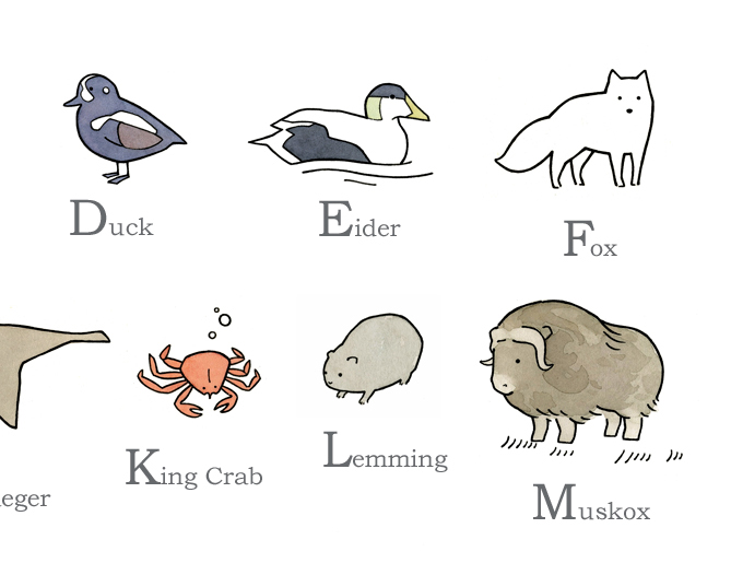 animal Arctic alphabet north