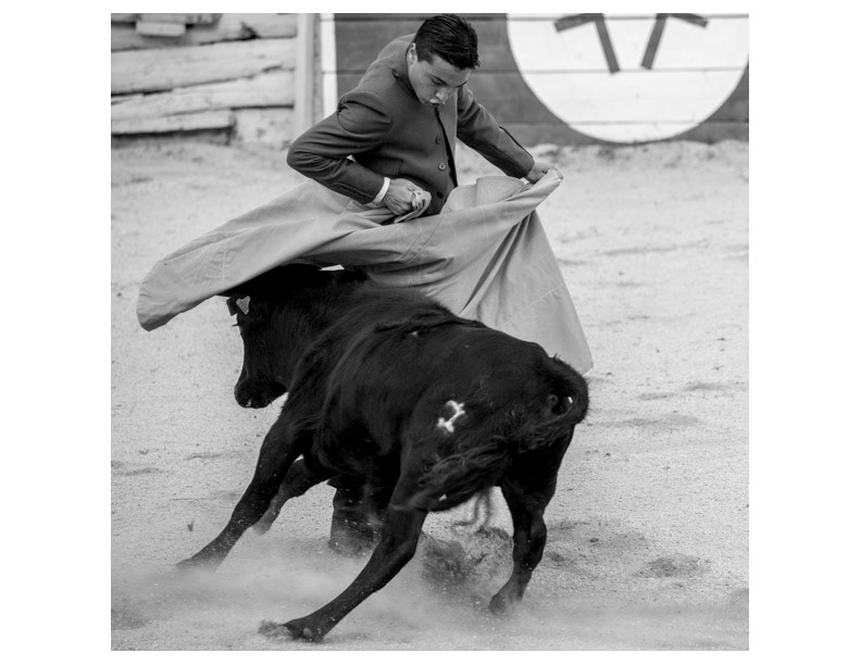 matador bullfighting arles bulls toro torero arenes teenagers boys children art cape