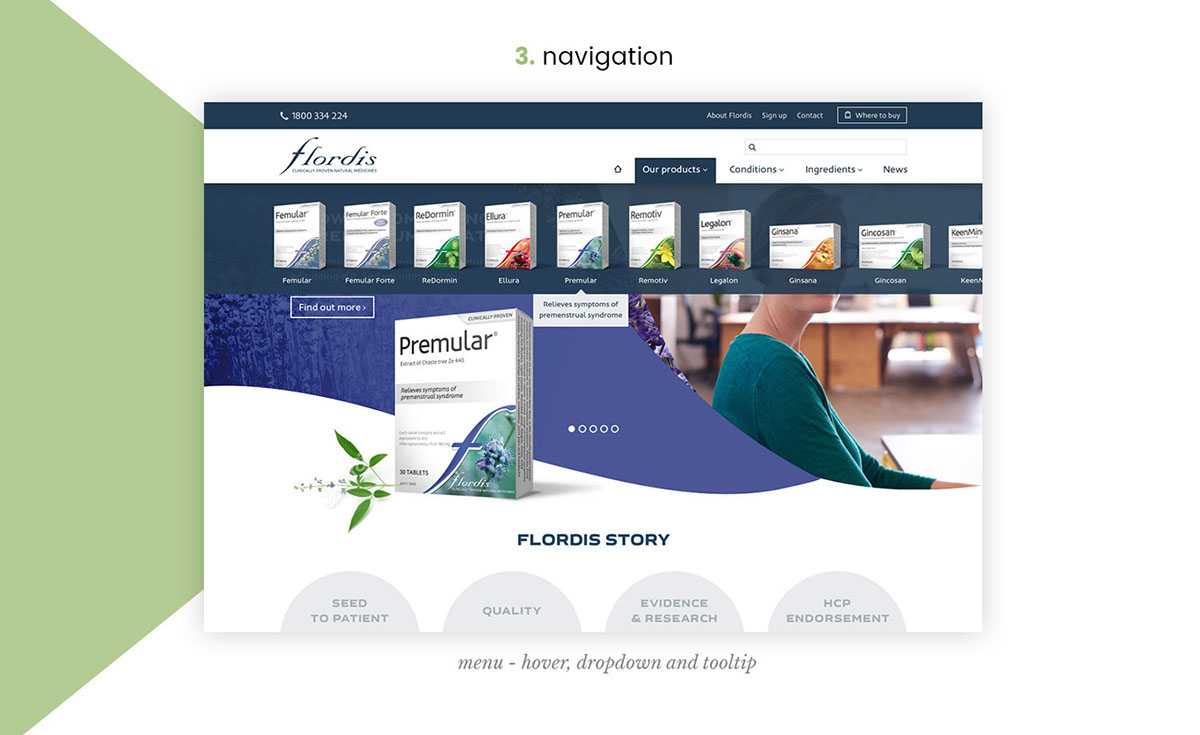 Website design user interface Web flordis