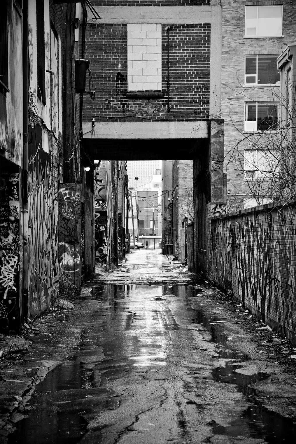 dark alley ghetto presence light rain new york downtown night light poor area crime violence black white rain window street garbage murder