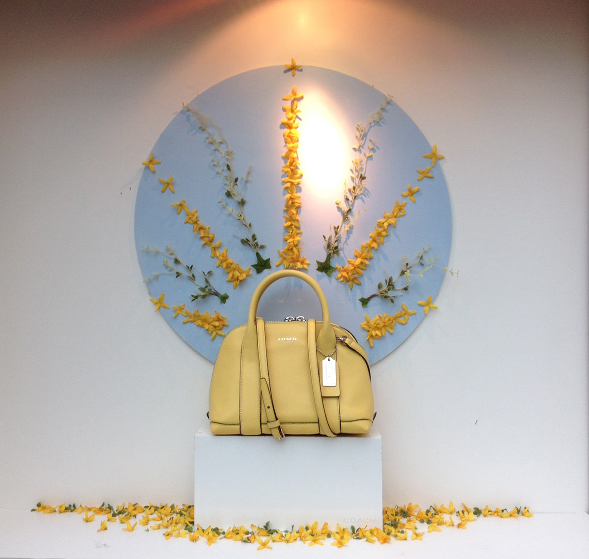 Coach Window Display Visual Merchandising fashion branding visual display handbags Belk