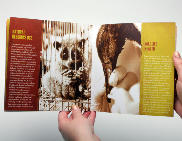 wildlife folio promotional piece