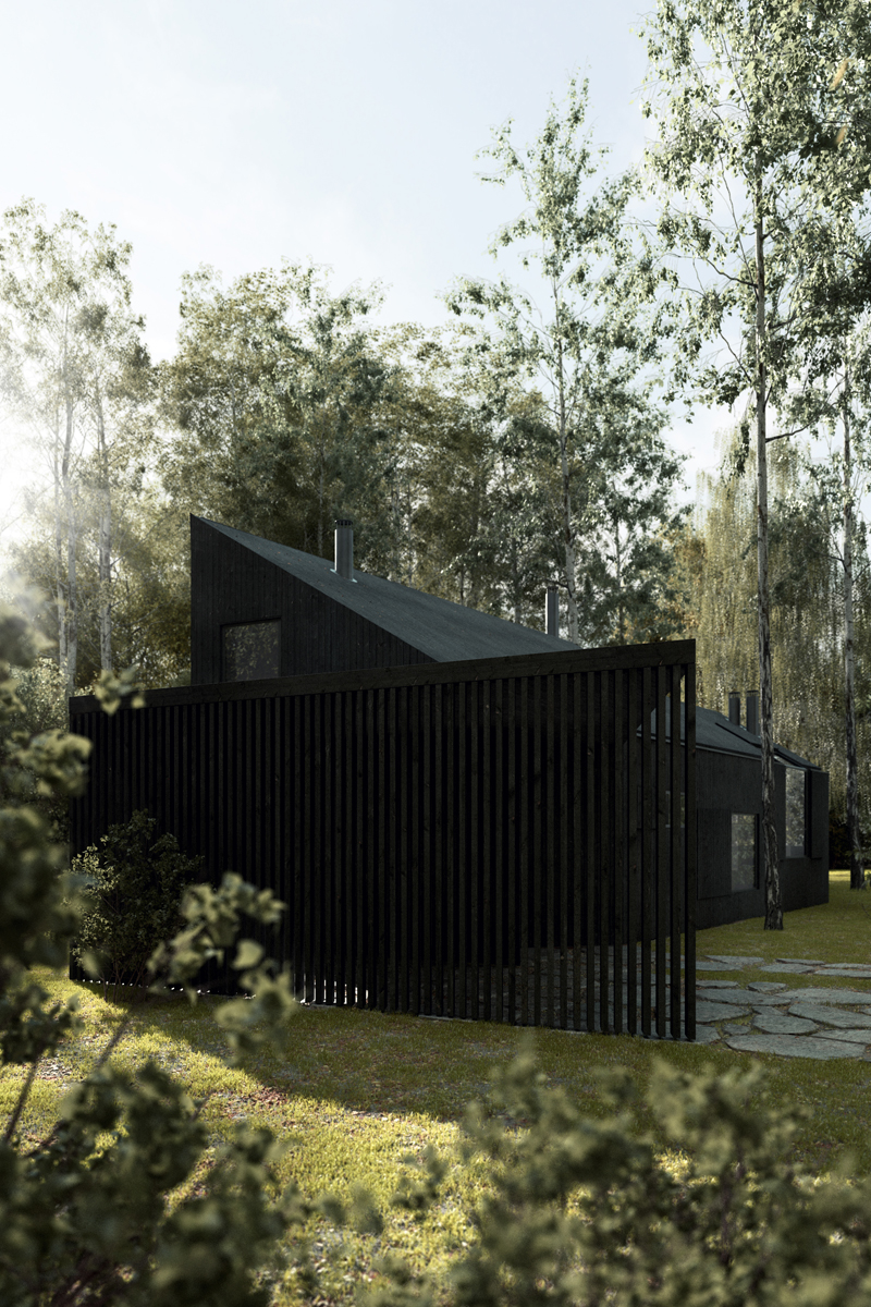 wood black house czarny dom brzozy wojnówko deski las forest