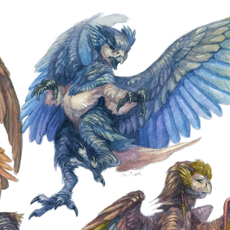 bird Creature Design fantasy harpy