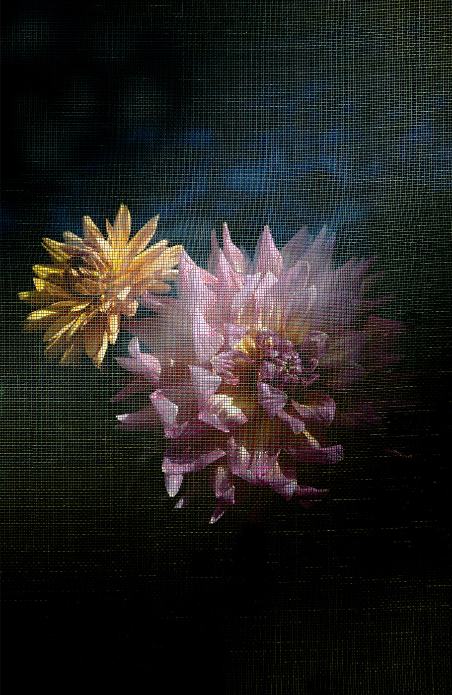 floral Flowers print color 4-color screen