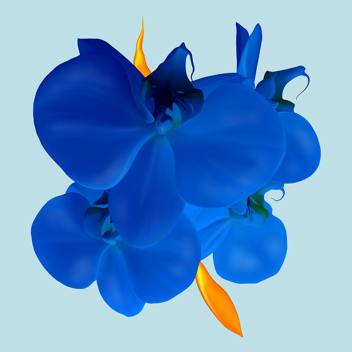 ILLUSTRATION  Digital Art  concept Lucid Dream creation art flower blue