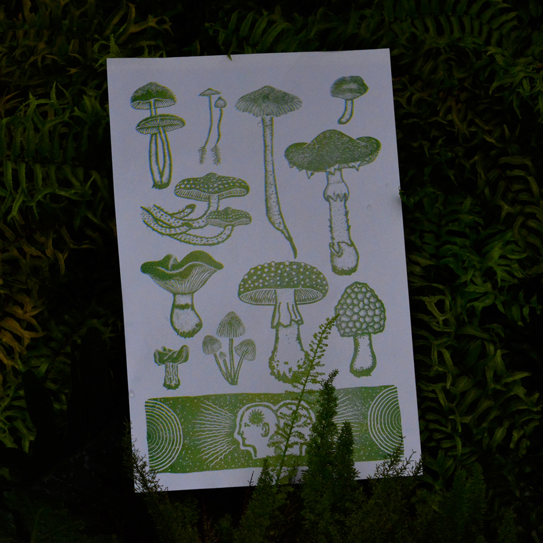 artwork design Digital Art  digital illustration Drawing  ILLUSTRATION  mushroom Nature screenprint risograph