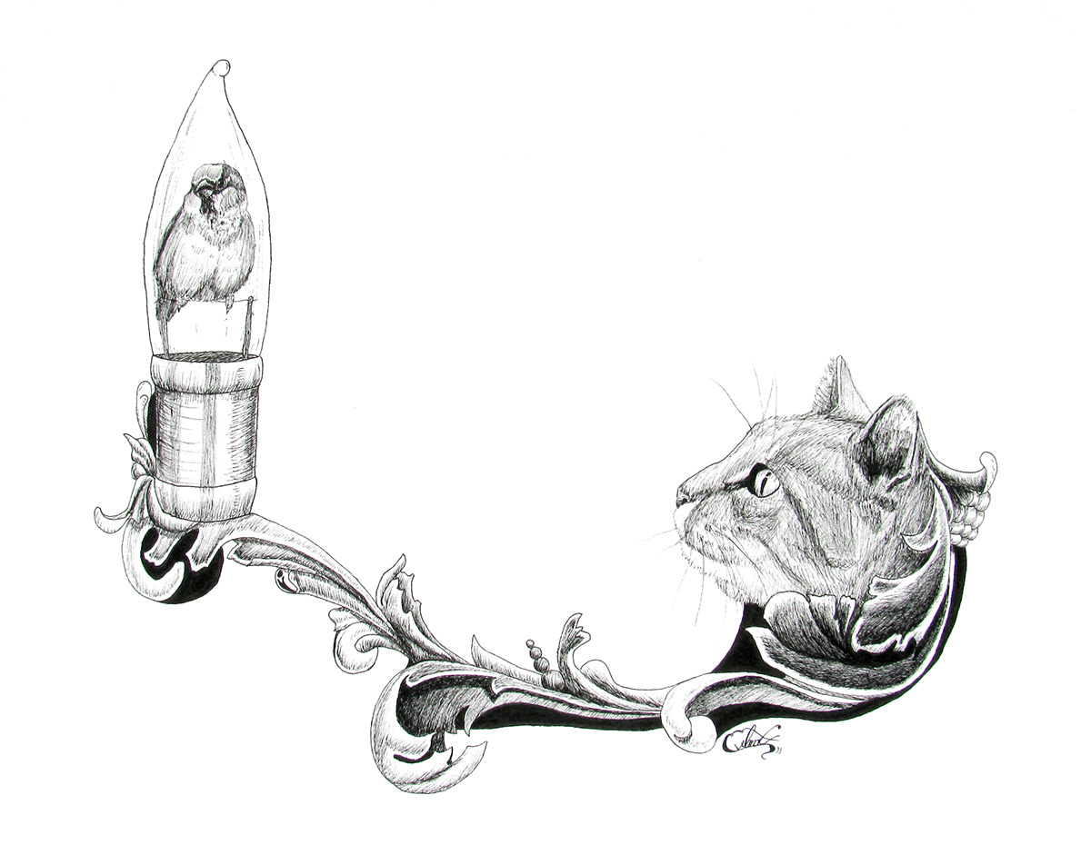 Cat jacob eveland Eveland english sparrow black and white ink micron