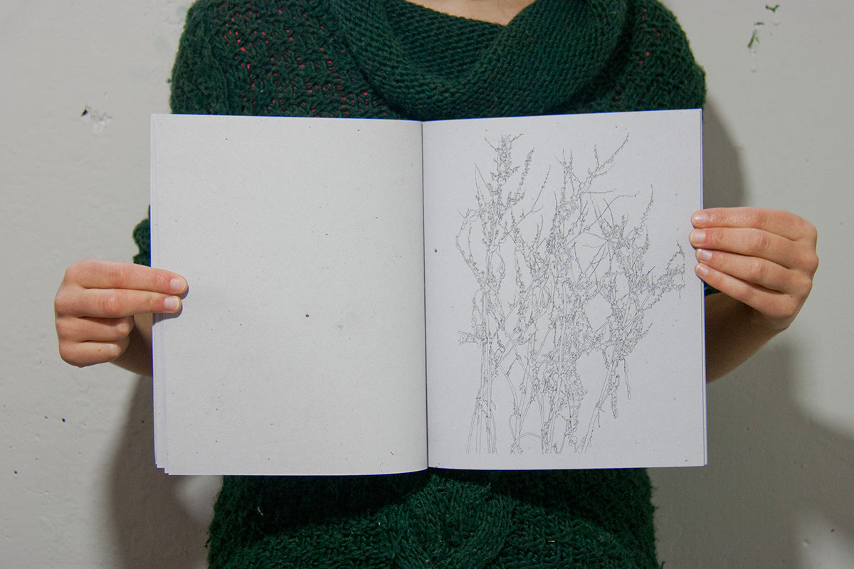 plants plantas notebook sketchbook book coloring book libreta libro Cuaderno pinta y colorea encuadernacion binding