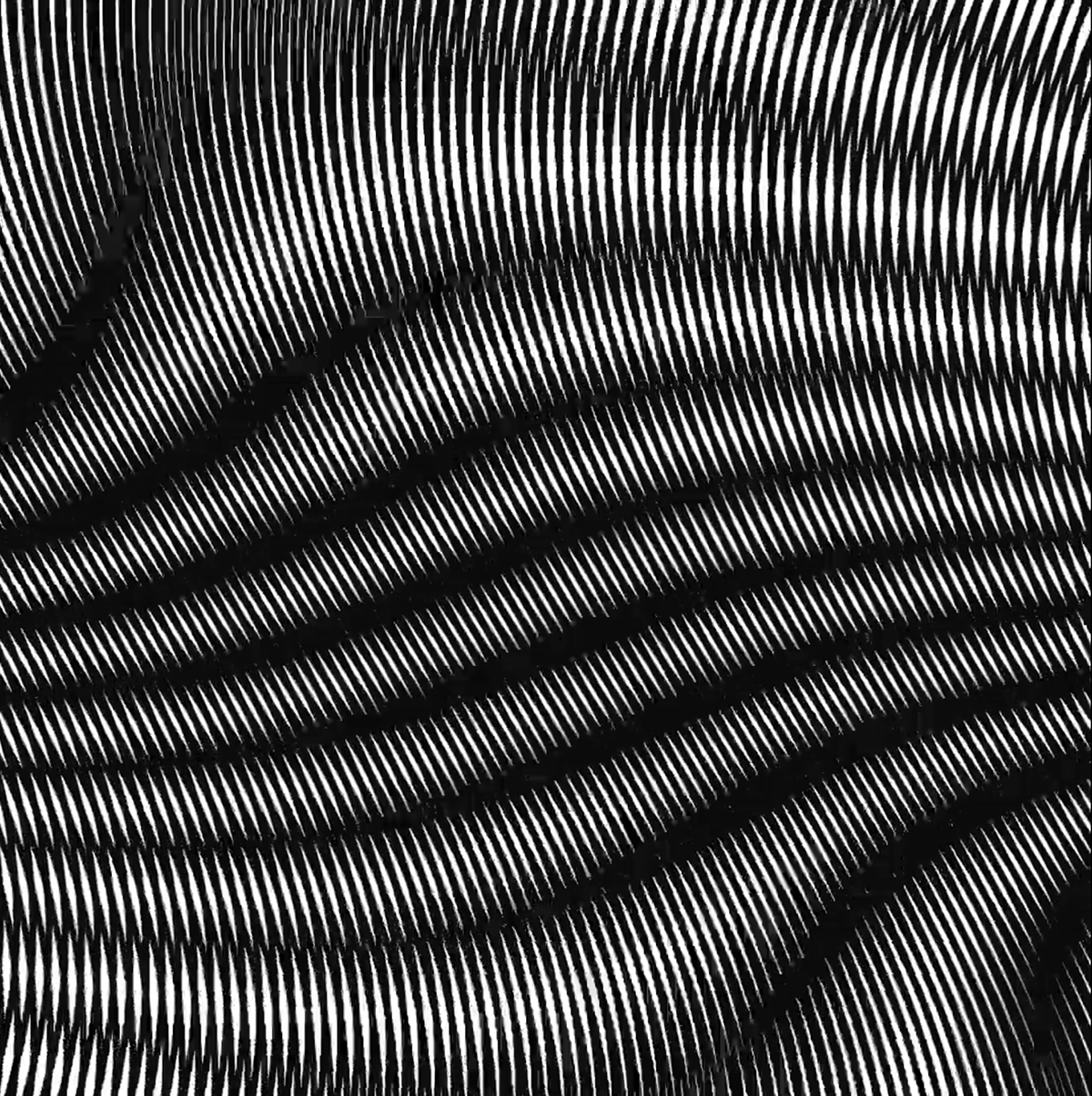 joren peters EJLN motion design graphic visual moire motion video black white pattern lines trippy psychedelic after effects