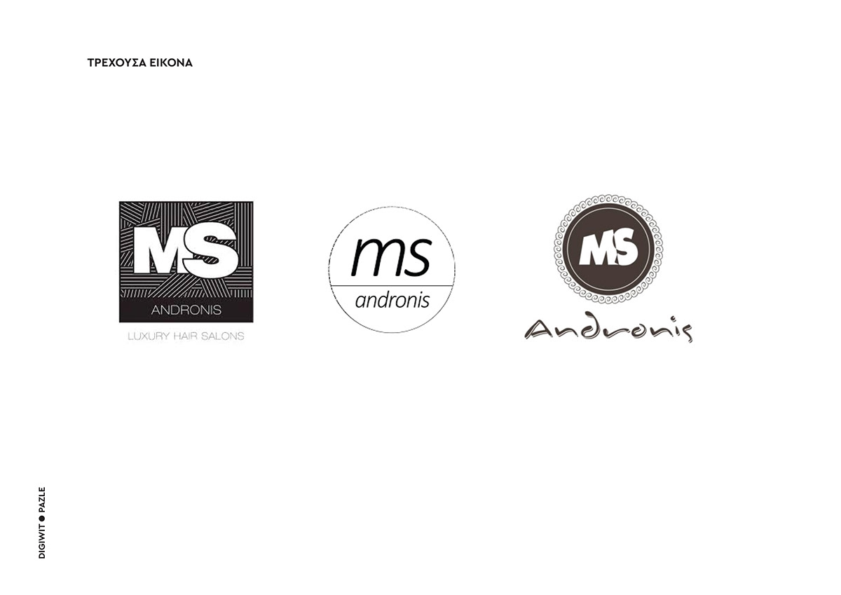 beauty Corporate Identity hair salon logo Logo Design Logotype Style visual identity women