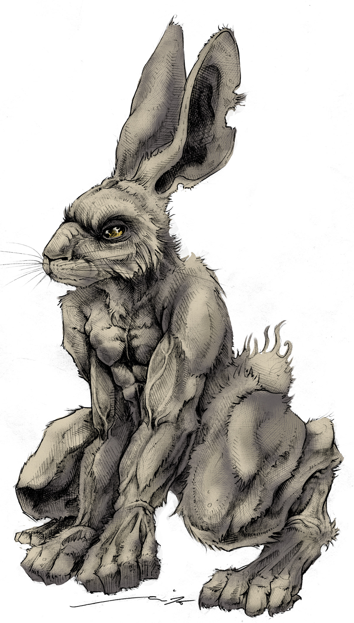 rabbit conceptart sketch hennessy wildrabbit