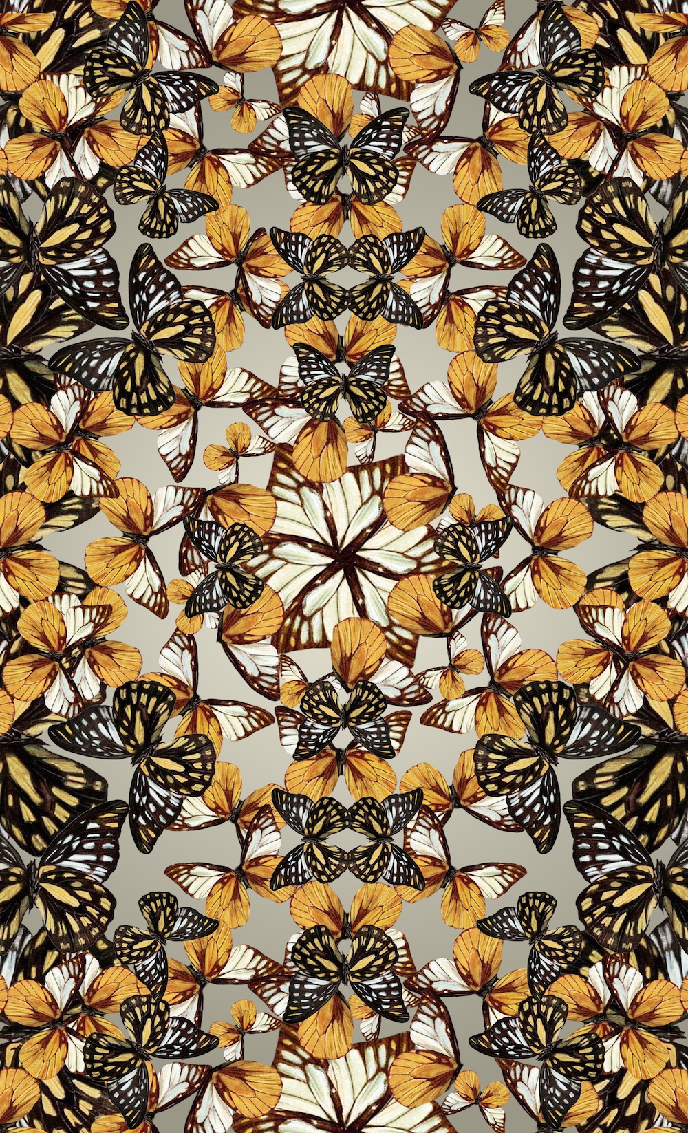 textile Nature butterfly pattern print design repeast repeat photoshop art FINEART paint collage draw color