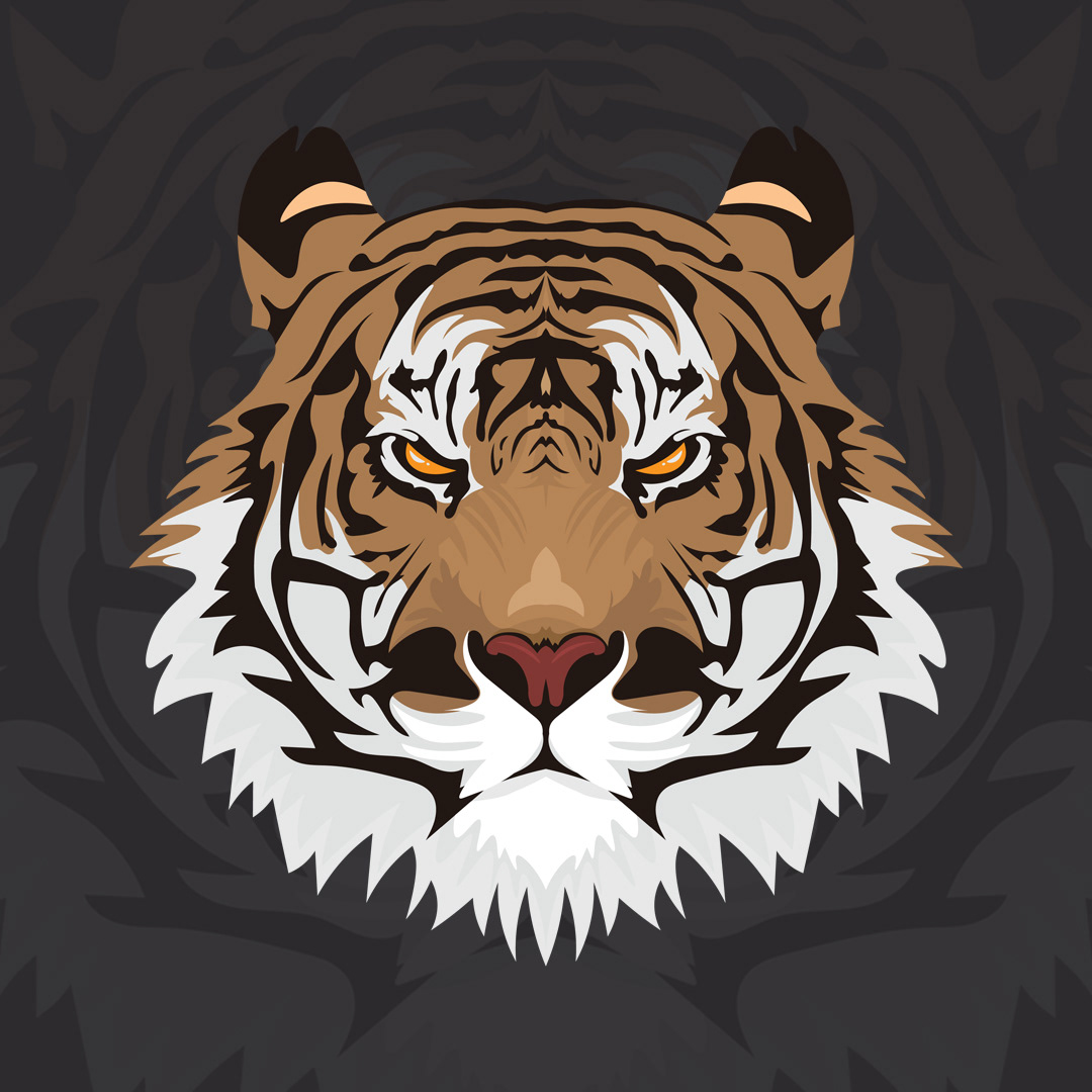 Cat tiger tiger head vector