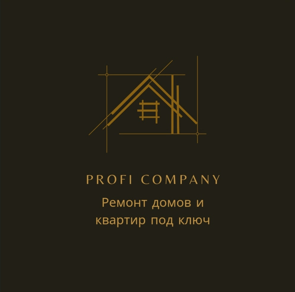 logo логотип компания дизайн Профи