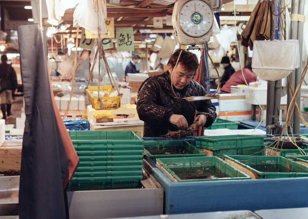 portraits people japan fish markets Documentary  reportage Travel