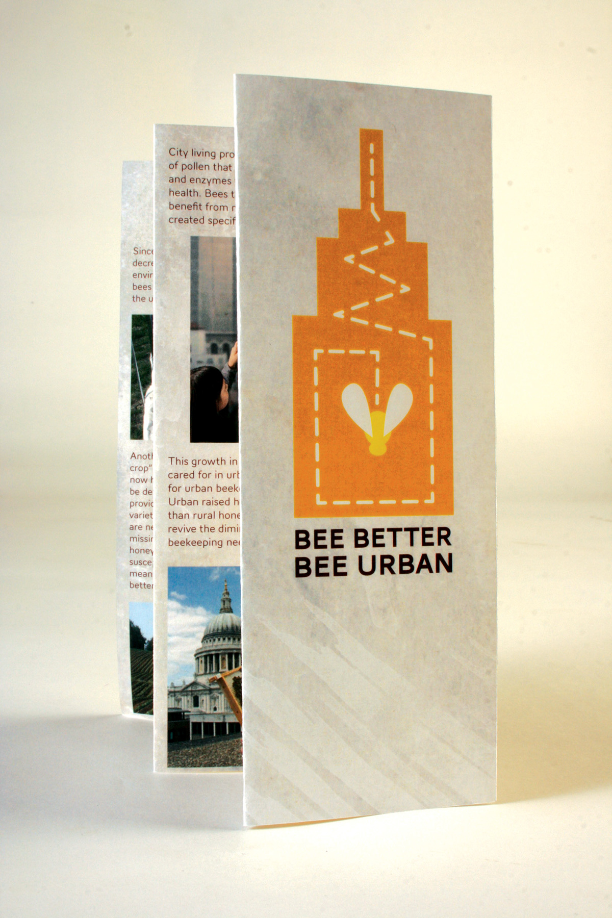 bee bee keeping urban beekeeping informational