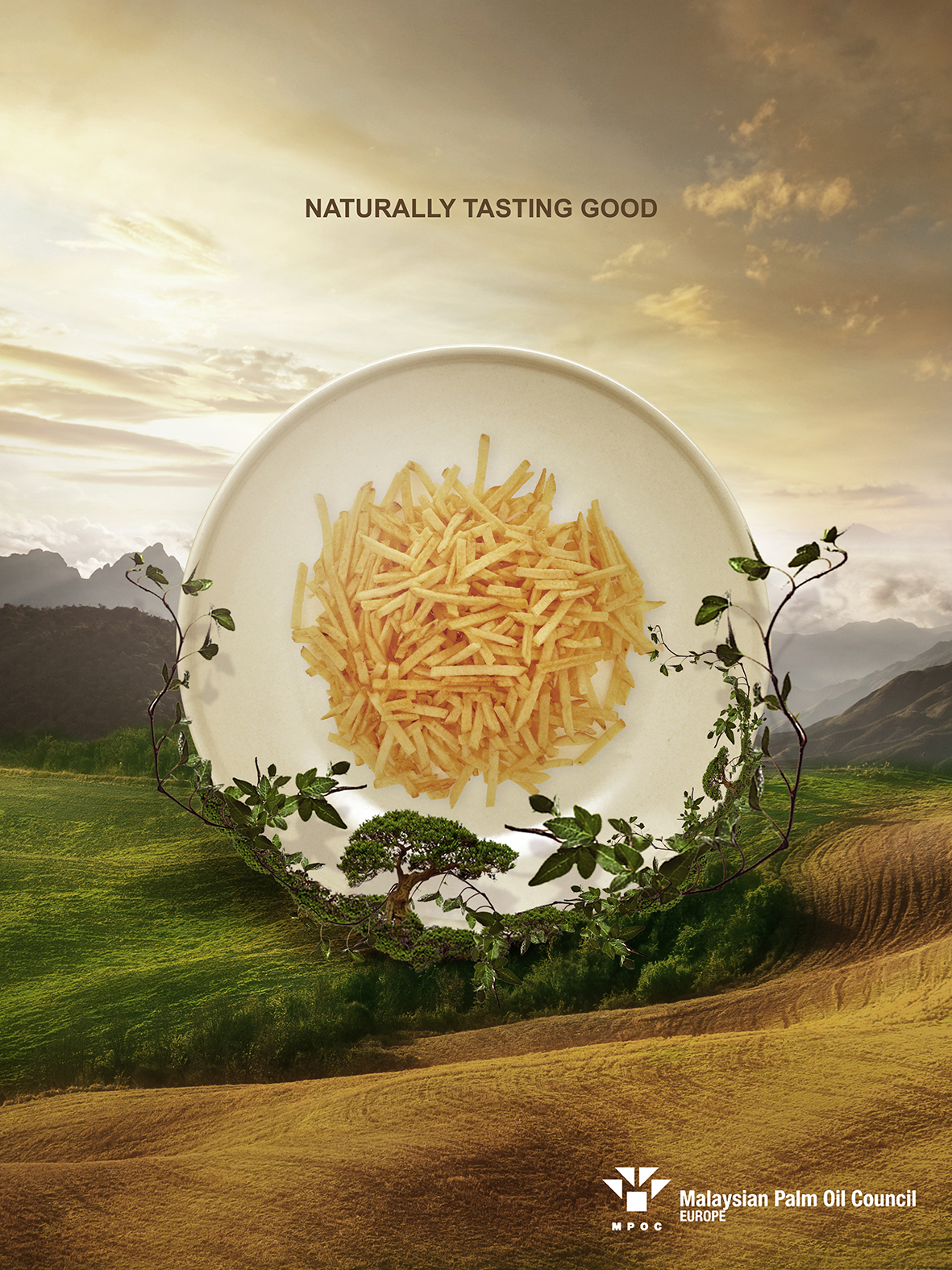 MPOC - Palm OIl "Malaysia" Print Campaign. oil Food  egg Pan palte naturale Sun garden concept creative french fries